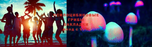 a pvp Алзамай