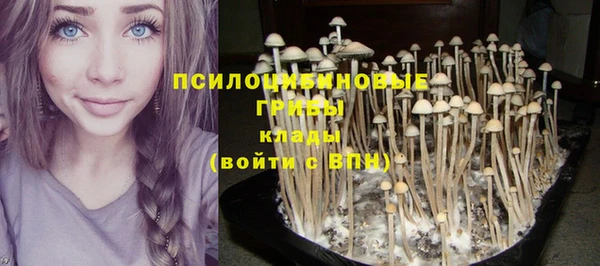 бошки Алексин