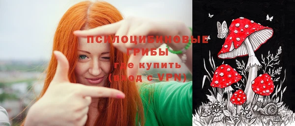a pvp Алзамай