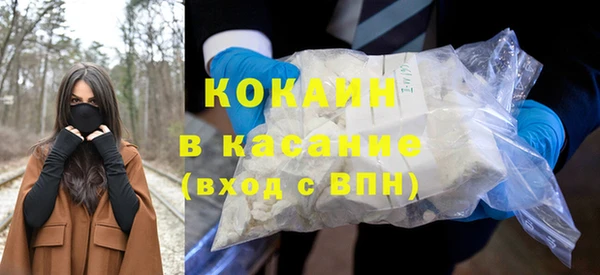 бошки Алексин